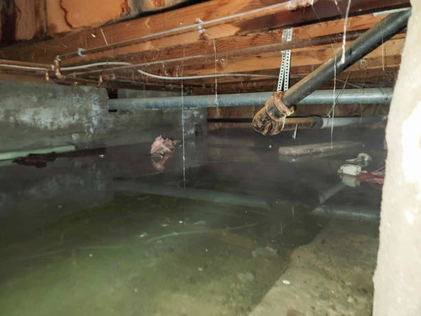 Best Local water damage restoration  in Vancouver, WA