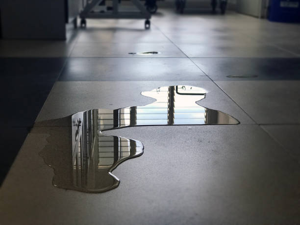 Best 24-hour water damage restoration  in Vancouver, WA