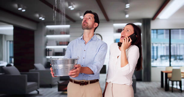 Best Mold removal after water damage  in Vancouver, WA